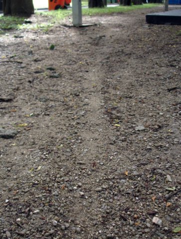 photo17.jpg