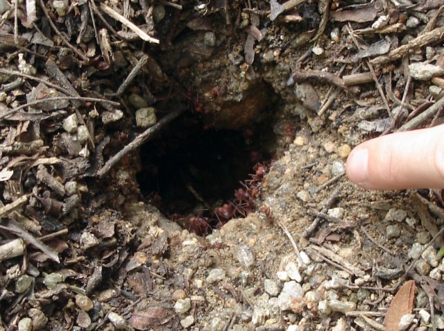 photo18.jpg