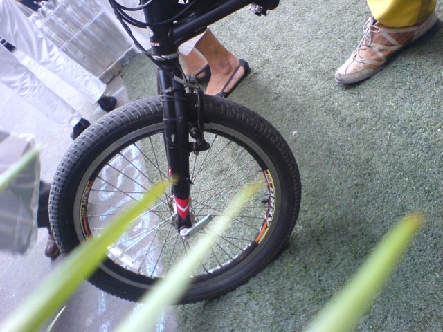 bicicleta.jpg